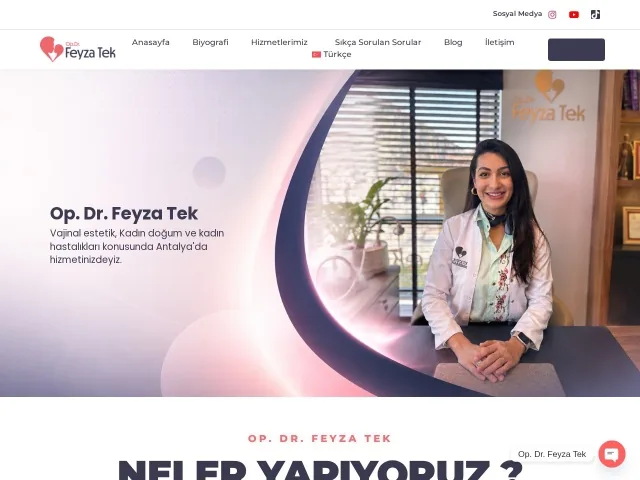 Feyzatek web sitesi