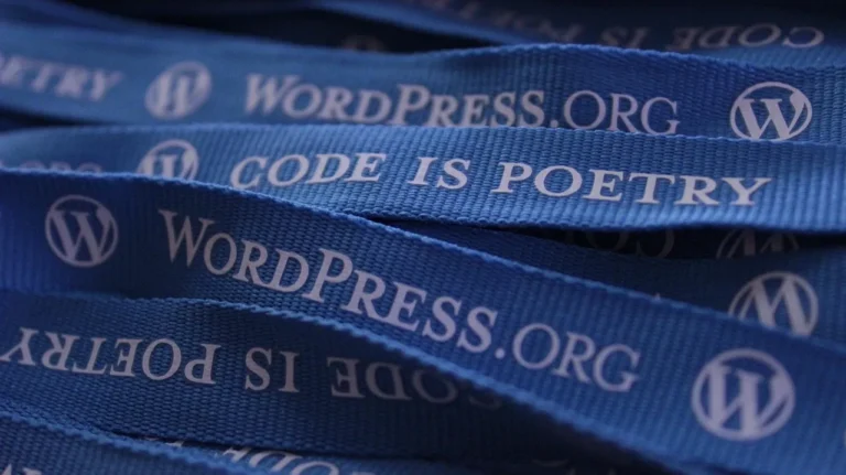 WordPress ve özel yazılım geliştirme karşılaştırması